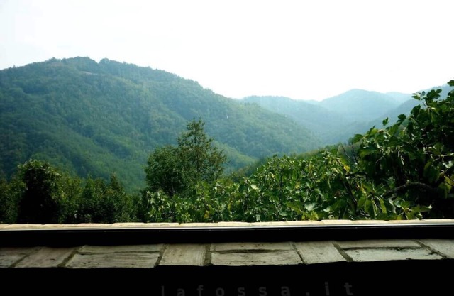 Small house surrounded by nature - lafossa.eu