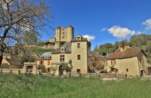 Small stone house in the heart of Périgord Noir
