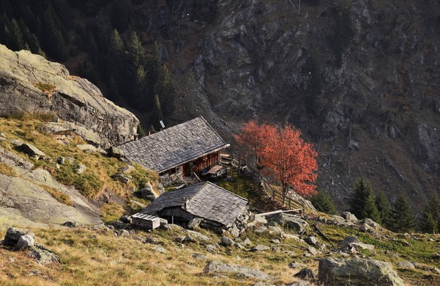 Small town flair South Tyrol - centrally comfortable apartment about 75m² with roof terrace