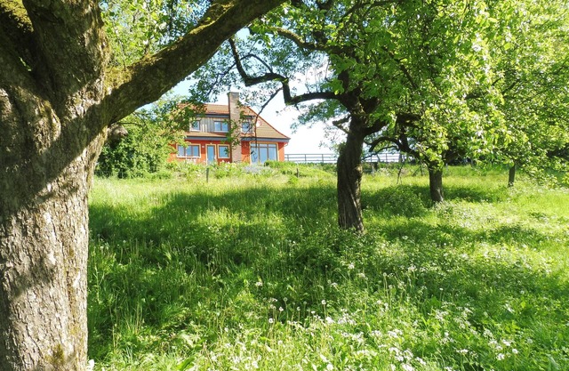 Small villa in the wild garden
