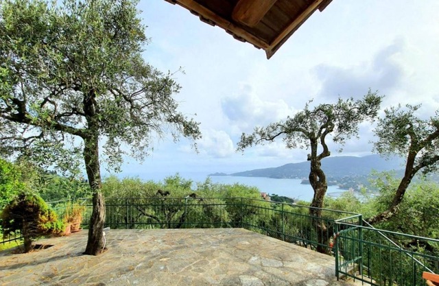 Small villa surrounded by olive trees overlooking the gulf