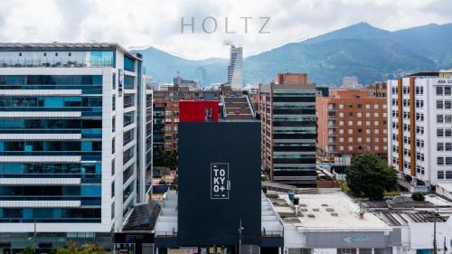 Smart Loft Tokyo By HOLTZ