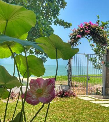 Smell rose beach garden花语海沙滩花园