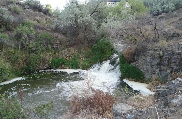 Snake R. Canyon/Creekside Retreat. Near 1000 Springs/Hot Springs/Balanced Rock