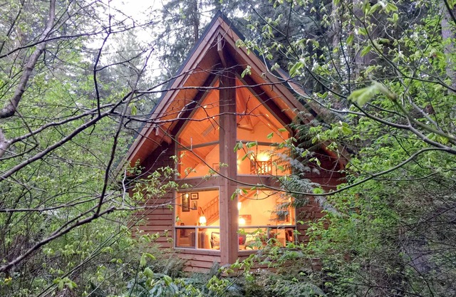 Snowline Cabin #4 - Hot Tub - BBQ - Pets Ok
