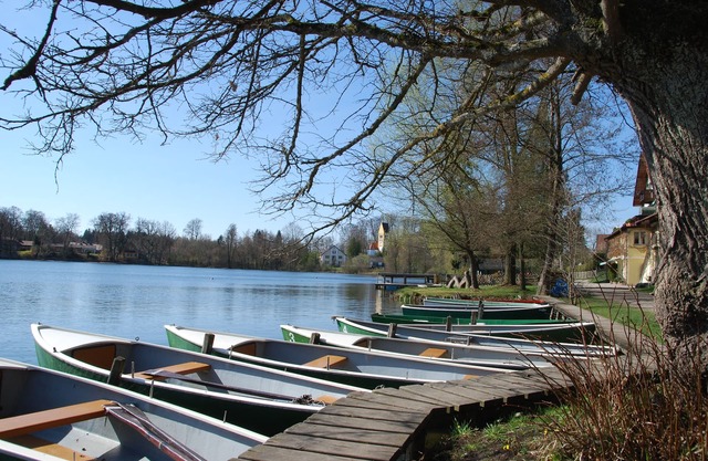 Snug Stays: Design apartment for 4 people on Lake Weßlinger See with garden I Ammersee