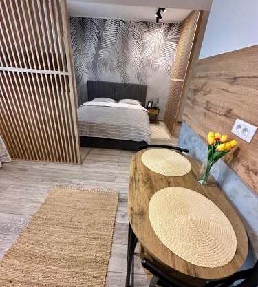 Sofia Residence Studio Cetate