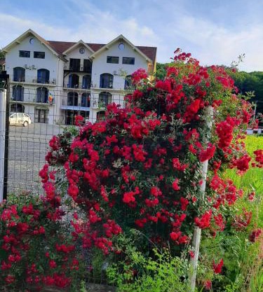 Sofial Guesthouse