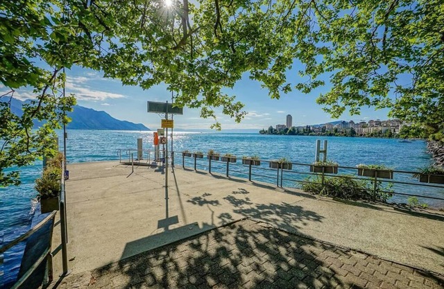 Soft Glam 1-bedroom appt - Lake & Mountain View