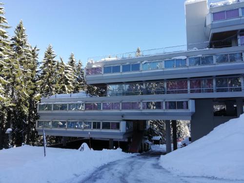 Sole Alto Appartamenti Montana