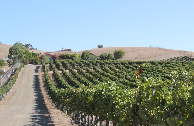 Solitude I- Views in the Midst of Vines-Solitude with Hacienda Style!