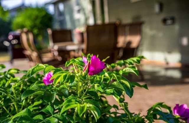 Songbird Cottage-HUGE Backyard-15 Min To Downtown-Pet & Fam Friendly-5-Star Beds
