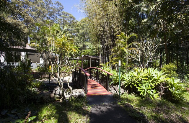 Songbirds Rainforest Retreat