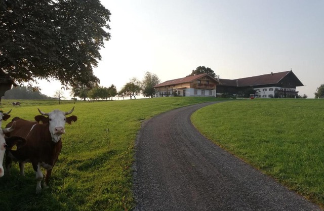 Sonnenhub
