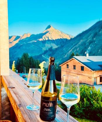 Sonniges Bergblick-Appartement
