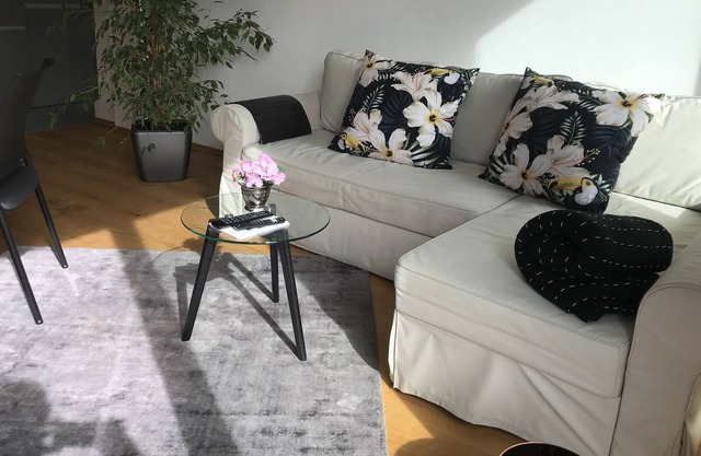 Sonniges Modernes Loft