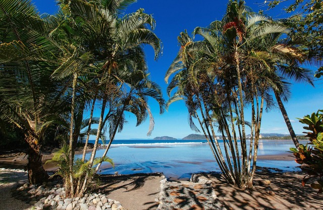 SOUTH BEACH PARADISE! DIRECT JACO BEACH OCEANFRONT *All Inclusive Options*