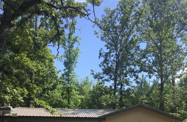 South Toledo Bend 2 Bedroom House (Pirates Cove) Outdoor Shower & Shuffleboard!