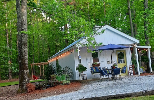 Southern cabin, bunkhouse, pet friendly close to town yet completely secluded!