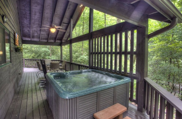 Southern Seclusion- Nestled in the back of the wood next to the National Forest