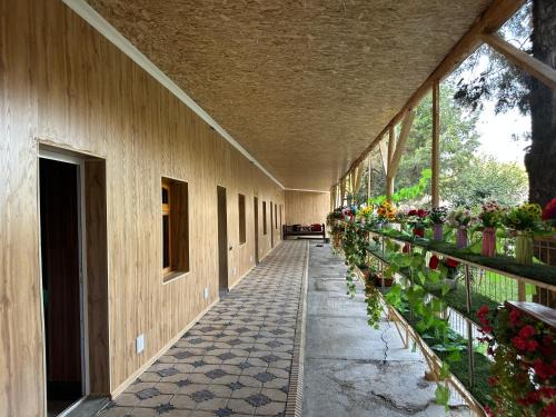 Soy Buyi Garden