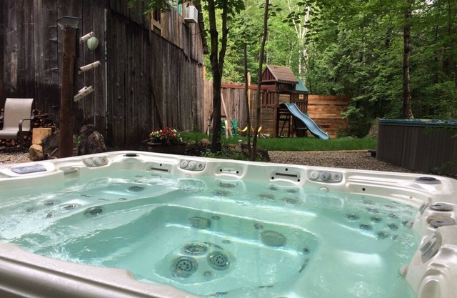 Spa, sauna, fishing, downhill skiing Pets welcome!