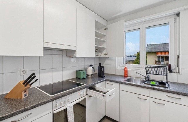 Spacious 2-Bedroom Oasis in Oerlikon