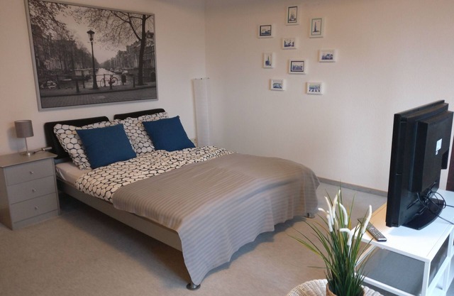 Spacious and very comfortable apartment
