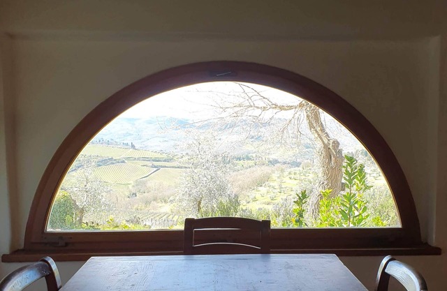 Spacious Apartment La Colonna overlooking Chianti Classico vineyards