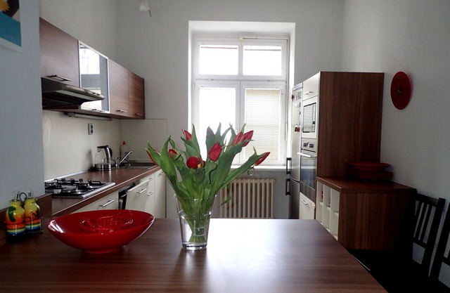 Spacious apartment near the center