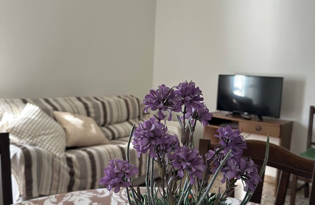 Spacious apartment 200meters from the pine forest and sea