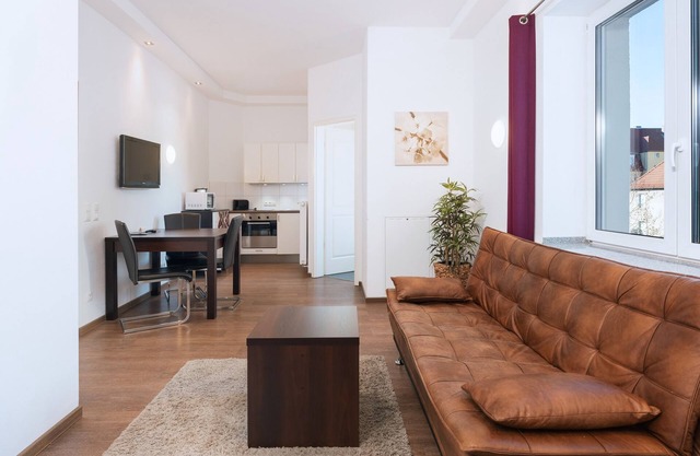 Spacious apartment with kitchenette