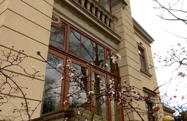 Spacious apartment in a historic villa with two bedrooms.