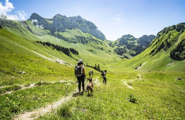 Spacious apartment in Chatel