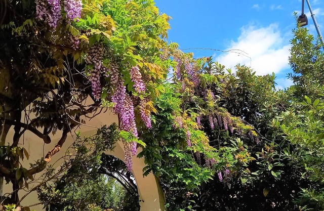 Spacious apartment in detached cottage with lovely garden