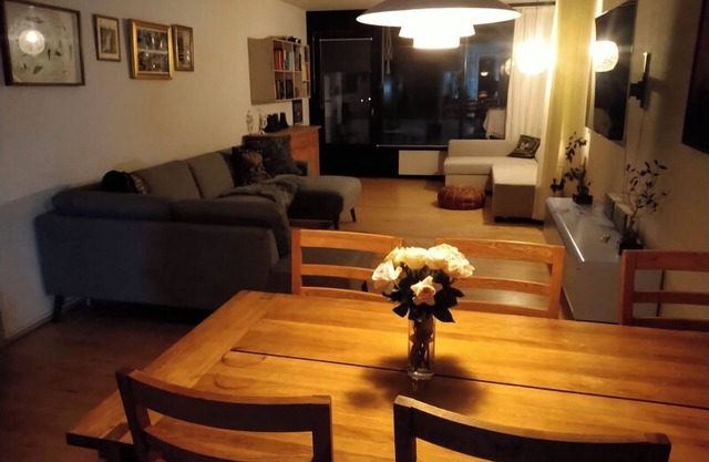 Spacious apartment near parks and historic center