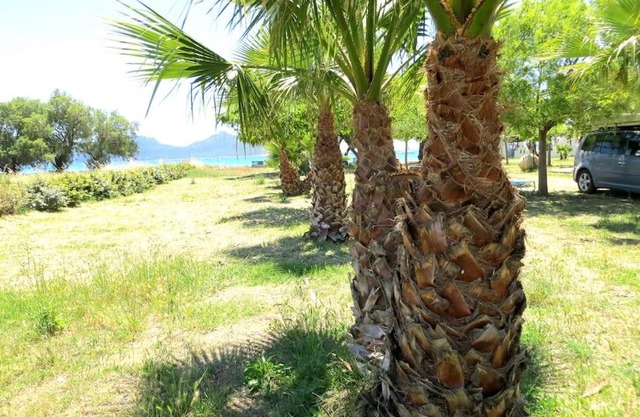 Spacious Apartment on the Beach, Methoni