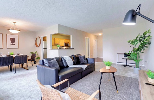 Spacious Apt Near D.C. & Metro