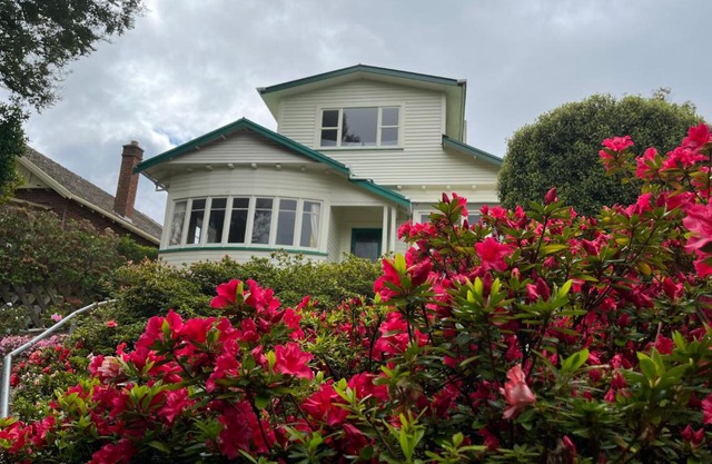 Spacious comfortable character House -Maori Hill