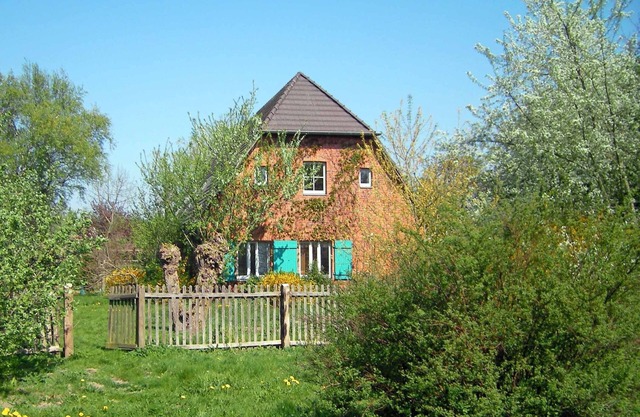Spacious holiday home with a large garden and swimming pond