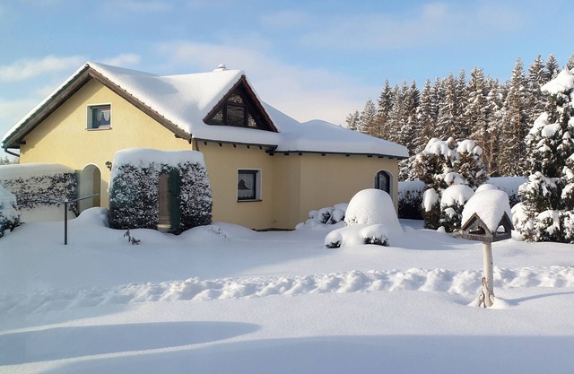 spacious house close to woods