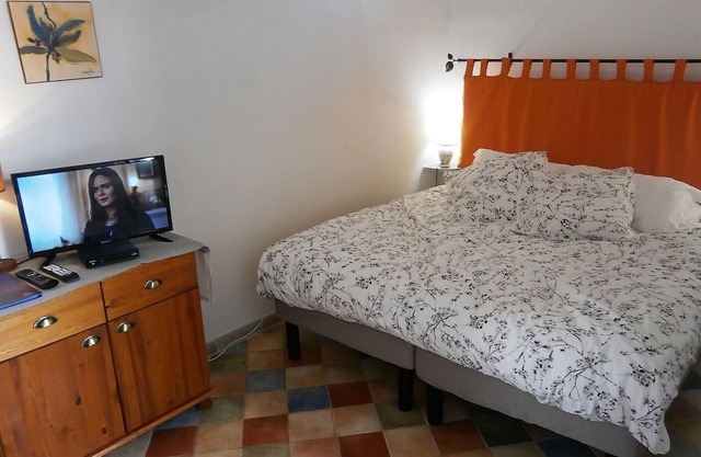 Spacious loft apartment in lovely Saint-Chinian
