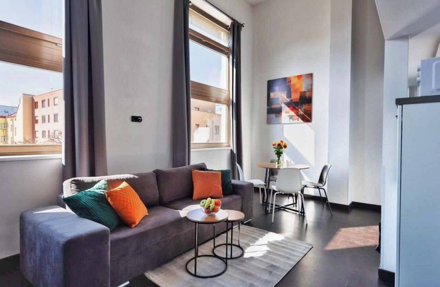 Spacious loft-apart in Prague