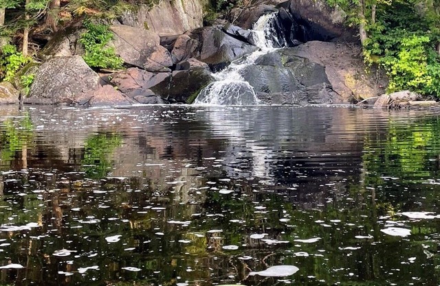 Spacious Rustic Cabin with Pond Views, Lake Access, Hot Tub and Dog-Friendly!