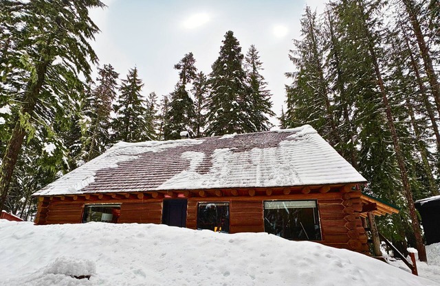 Spacious Steiner Cabin on quiet street and stream.