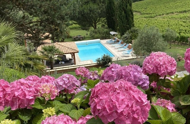 Spacious Villa among vineyards