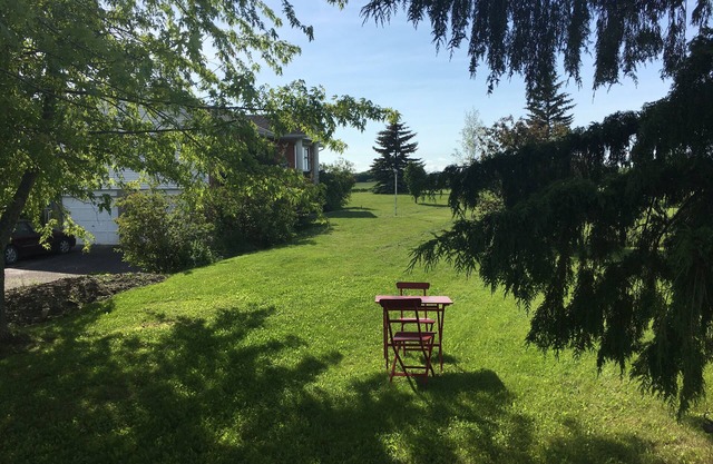 Spacious Vacation Home minutes from Wellington, walking distance to wineries.