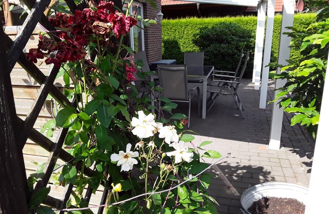 Spacious vacation home with 3 bedrooms, covered terrace, barbecue hut NaheOL