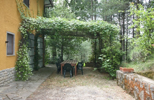 Spacious villa with shady private garden and swimming pool. Small gym for the more sporty, satellite