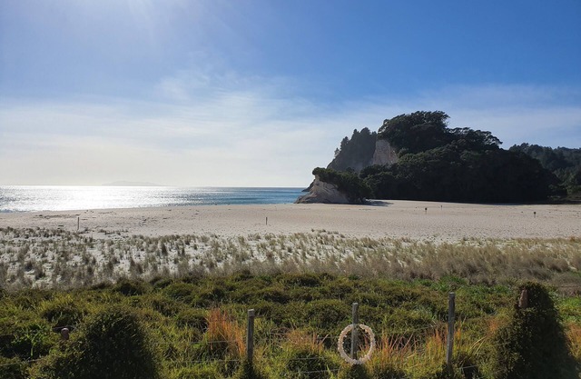 Spectacular Beachfront in Whiritoa